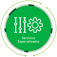 Iconos-Servicios-Especializados